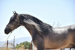 Aldeano_01_1