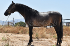Aldeano_14_1