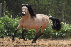 Antonio_091