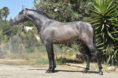 Bandolero-CA_041