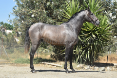 Bandolero-CA_056
