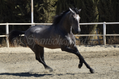 Bandolero-CA_106