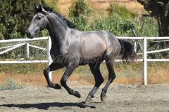Bandolero-CA_114