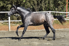 Bandolero-CA_117