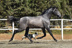 Bandolero-CA_136