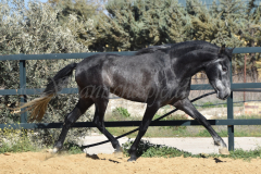 Bolero_075