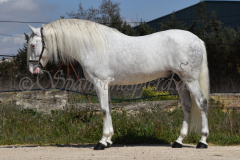 Bonbon_029