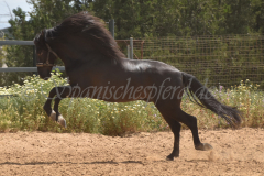Chocolate_017