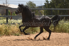 Chocolate_019