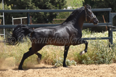 Chocolate_084