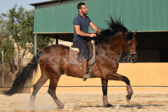 Cholito_347