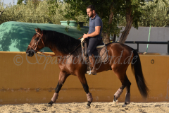 Cholito_389