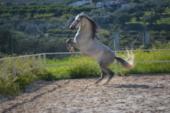 BElo-Frei_096