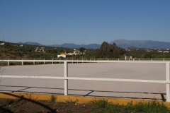 SONY DSC