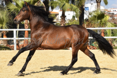 Gacho-N_76