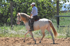 Ladron_224