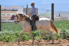 Ladron_231