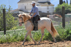 Ladron_238