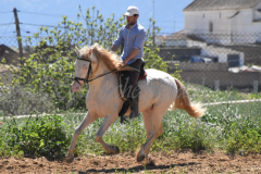 Ladron_306