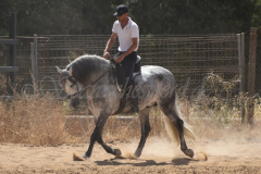 Oeste_082