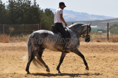 Oeste_094