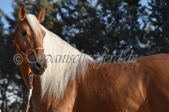 Padilhas_020