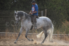 Previsto-Sol_222