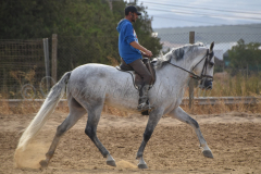 Previsto-Sol_227