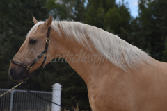 Quilate_047