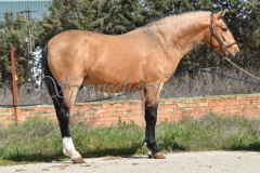 Solano_010