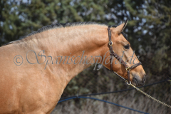 Solano_016