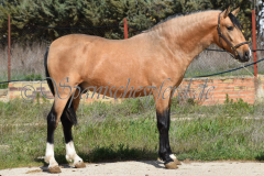 Solano_033