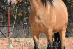 Solano_046