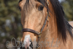 Solano_055