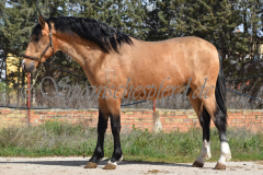 Solano_060