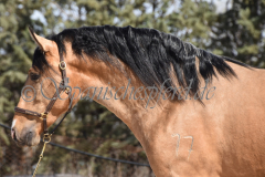 Solano_068
