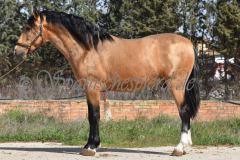 Solano_073