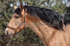 Solano_079