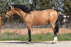 Solano_097