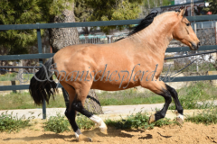 Solano_163