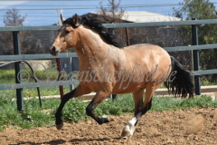 Solano_193