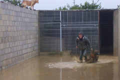 Extra-Tierschutz_12