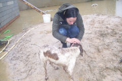 Extra-Tierschutz_14