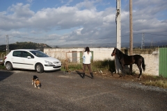 SONY DSC