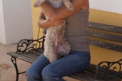 SONY DSC