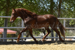 Traquio_076