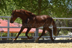 Traquio_078