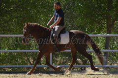 Traquio_171