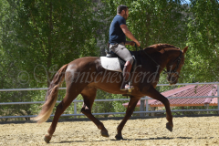 Traquio_175