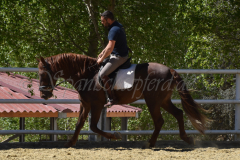 Traquio_189
